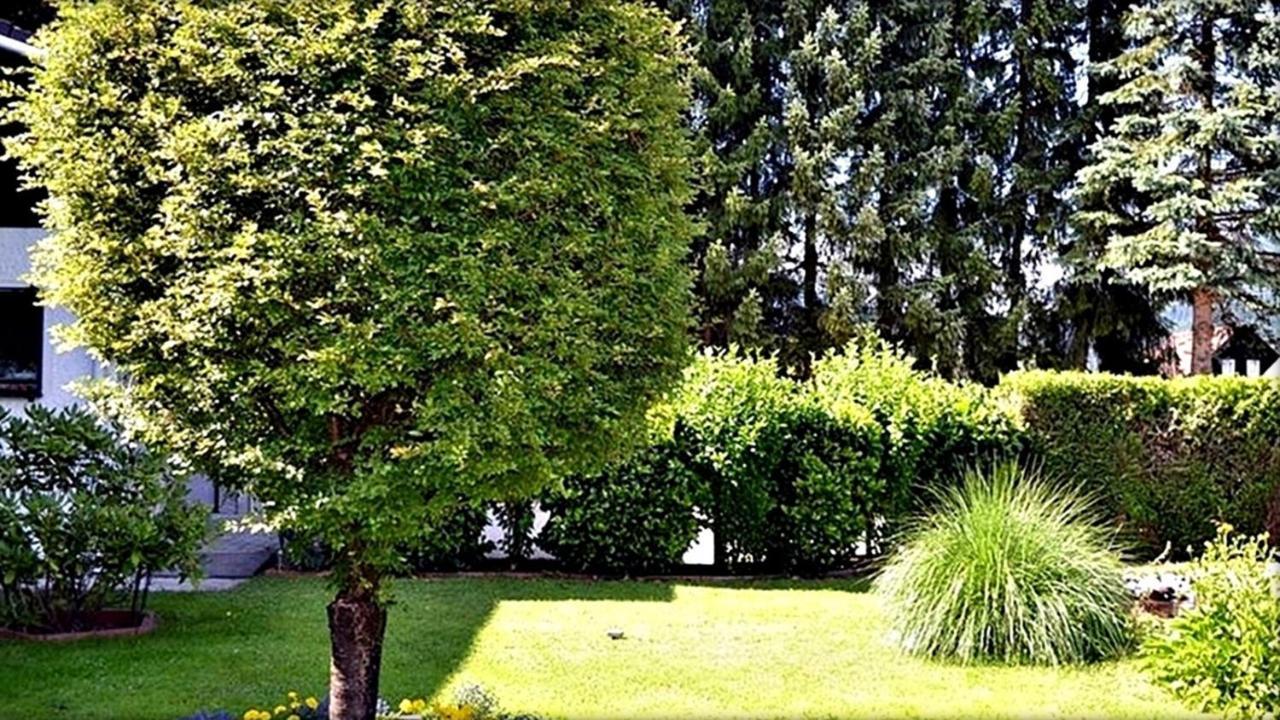 Ferienwohnung Neuhuber Bad Goisern Εξωτερικό φωτογραφία